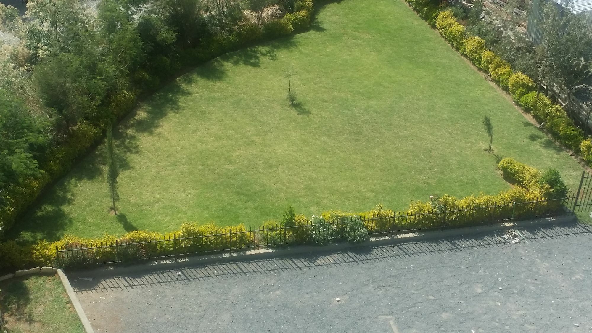 Afro Addis Hotel Apartment エクステリア 写真